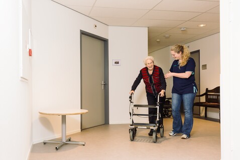 geriatrische revalidatiezorg zorgboog